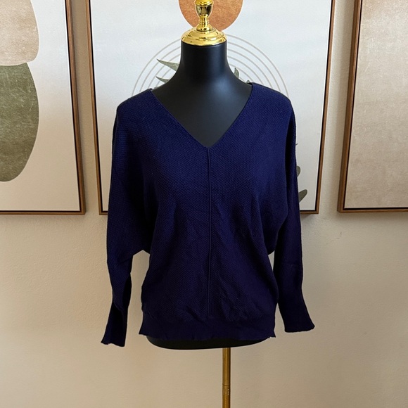 Sweaters - 3/$10 Navy V-Neck Long Sleeve Sweater